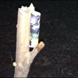(Category: ) located in . Submitted by naoki (Listing ID 1377649829, Image 1). Description: .