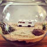 (Category: ) located in . Submitted by pebbleslane (Listing ID 1383968511, Image 1). Description: .