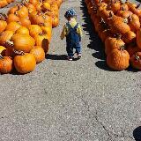 (Category: ) located in . Submitted by s_hoe1 (Listing ID 1369962499, Image 1). Description: .