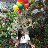 (Category: ) located in . Submitted by dhlism (Listing ID 1439425654, Image 1). Description: .