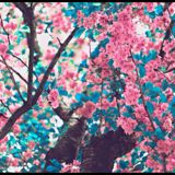 (Category: ) located in . Submitted by dimpleunicorn (Listing ID 1317303591, Image 1). Description: .