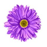 (Category: ) located in . Submitted by avtrusova (Listing ID 1379082367, Image 1). Description: .