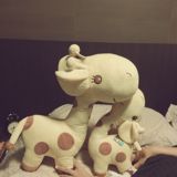 (Category: ) located in . Submitted by toootooot (Listing ID 1361848553, Image 1). Description: .