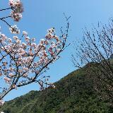 (Category: ) located in . Submitted by leh_long (Listing ID 1375045458, Image 1). Description: .