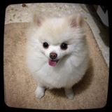 (Category: ) located in . Submitted by natsora (Listing ID 1262684432, Image 1). Description: .