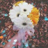 (Category: ) located in . Submitted by wheewhee (Listing ID 1374326855, Image 1). Description: .