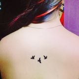(Category: ) located in . Submitted by domo_let (Listing ID 1377615257, Image 1). Description: .
