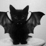 (Category: ) located in . Submitted by rambling_bambi (Listing ID 1330793985, Image 1). Description: .