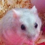(Category: ) located in . Submitted by greedyleong (Listing ID 1381990029, Image 1). Description: .