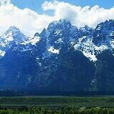 (Category: ) located in . Submitted by salnov (Listing ID 1327607418, Image 1). Description: .