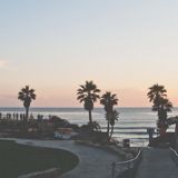 (Category: ) located in . Submitted by wiltedfields (Listing ID 1354960388, Image 1). Description: .