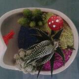 (Category: ) located in . Submitted by ywl5 (Listing ID 1344436320, Image 1). Description: .