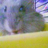 (Category: ) located in . Submitted by welmacy (Listing ID 1378695029, Image 1). Description: .