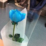(Category: ) located in . Submitted by goodconditionstuffs (Listing ID 1378940190, Image 1). Description: .