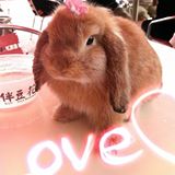 (Category: ) located in . Submitted by jaslinegal (Listing ID 1369838468, Image 1). Description: .