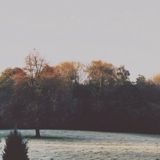 (Category: ) located in . Submitted by qyngggg (Listing ID 1344904797, Image 1). Description: .