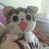 (Category: ) located in . Submitted by nootish (Listing ID 1381717757, Image 1). Description: .