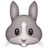 (Category: ) located in . Submitted by colorfulcrayons (Listing ID 1350670573, Image 1). Description: .