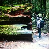 (Category: ) located in . Submitted by shutter.tony (Listing ID 1291663984, Image 1). Description: .