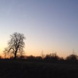 (Category: ) located in . Submitted by clutterqueen (Listing ID 1190797029, Image 1). Description: .
