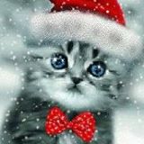 (Category: ) located in . Submitted by winwinwinn (Listing ID 1286055554, Image 1). Description: .