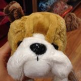 (Category: ) located in . Submitted by jimmyyzz (Listing ID 1380253169, Image 1). Description: .
