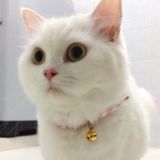 (Category: ) located in . Submitted by syura (Listing ID 1381799160, Image 1). Description: .