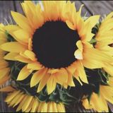 (Category: ) located in . Submitted by sunsetsofsummer (Listing ID 1305340489, Image 1). Description: .