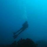 (Category: ) located in . Submitted by fishiefishie (Listing ID 1348539580, Image 1). Description: .