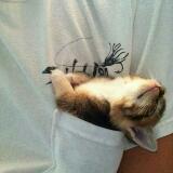 (Category: ) located in . Submitted by Owlet (Listing ID 1383174375, Image 1). Description: .