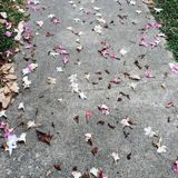 (Category: ) located in . Submitted by inzion (Listing ID 1383556848, Image 1). Description: .