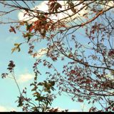(Category: ) located in . Submitted by sdttt (Listing ID 1383864016, Image 1). Description: .