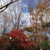 (Category: ) located in . Submitted by offy2 (Listing ID 1380705083, Image 1). Description: .