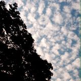 (Category: ) located in . Submitted by ni2080 (Listing ID 1364664402, Image 1). Description: .