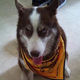 (Category: ) located in . Submitted by constg (Listing ID 1438997614, Image 1). Description: .
