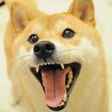 (Category: ) located in . Submitted by nekonokoutei (Listing ID 1375383920, Image 1). Description: .