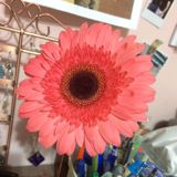 (Category: ) located in . Submitted by trelsc (Listing ID 1371383096, Image 1). Description: .