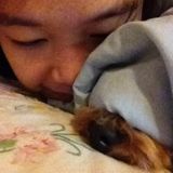 (Category: ) located in . Submitted by haoqibaobao (Listing ID 1373439934, Image 1). Description: .