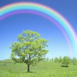 (Category: ) located in . Submitted by mamaj (Listing ID 1372590167, Image 1). Description: .