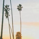 (Category: ) located in . Submitted by purpurdaisies (Listing ID 1377326890, Image 1). Description: .