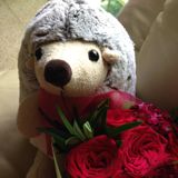 (Category: ) located in . Submitted by jesscar (Listing ID 1380058411, Image 1). Description: .