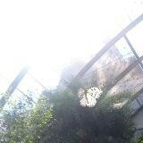(Category: ) located in . Submitted by tclcl (Listing ID 1376063069, Image 1). Description: .