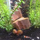 (Category: ) located in . Submitted by littlepohs (Listing ID 1365095509, Image 1). Description: .