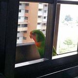 (Category: ) located in . Submitted by LostChances (Listing ID 1368507219, Image 1). Description: .