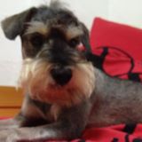 (Category: ) located in . Submitted by agneslimdl (Listing ID 1370769084, Image 1). Description: .