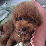(Category: ) located in . Submitted by shiningcow (Listing ID 1346851768, Image 1). Description: .