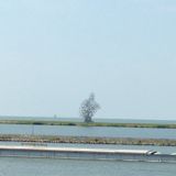(Category: ) located in . Submitted by bageltrees (Listing ID 1372229043, Image 1). Description: .