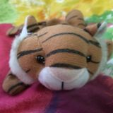 (Category: ) located in . Submitted by tigeroar (Listing ID 6173844, Image 1). Description: .