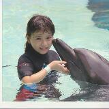 (Category: ) located in . Submitted by iris.lim.16 (Listing ID 58972627, Image 1). Description: .