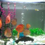 (Category: ) located in . Submitted by happytour (Listing ID 1380661694, Image 1). Description: .